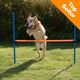 Agility fun & sport hoogtesprong