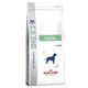 Royal canin veterinary diet  dental hondenvoer