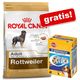 Royal canin breed grote zak +