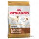 Royal canin breed labrador retriever adult hondenvoer