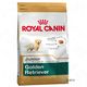 Royal canin breed golden retriever junior hondenvoer