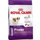 Royal canin giant puppy hondenvoer  dubbelpak