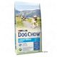 Purina dog chow puppy