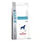 Royal canin veterinary diet  hypoallergenic dr hondenvoer   dubbelpak: