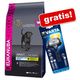 Grote zak eukanuba + varta hoofdlamp gratis!  puppy