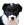 honden page profiel Iris, Lynn & Sam   